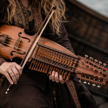 Load image into Gallery viewer, Nyckelharpa Aboard the Longship Workshop Friday 24th July 2026